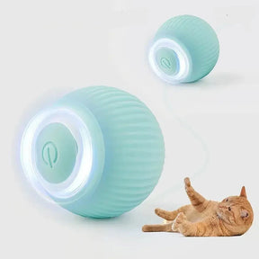 Artball - brinquedo para gato